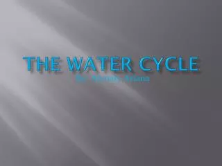 the water cycle