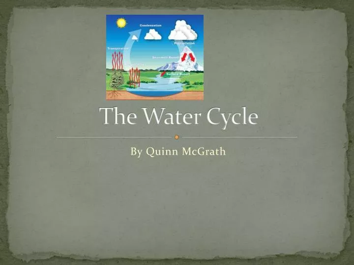 the water cycle