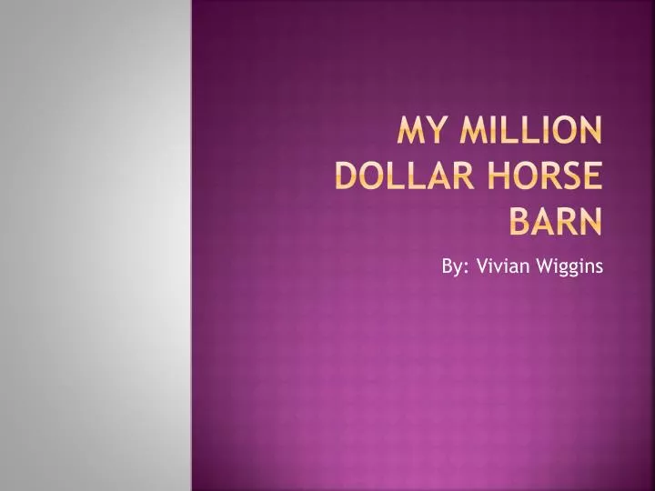 my million dollar horse barn