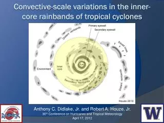 Convective-scale variations in the inner-core rainbands of tropical cyclones
