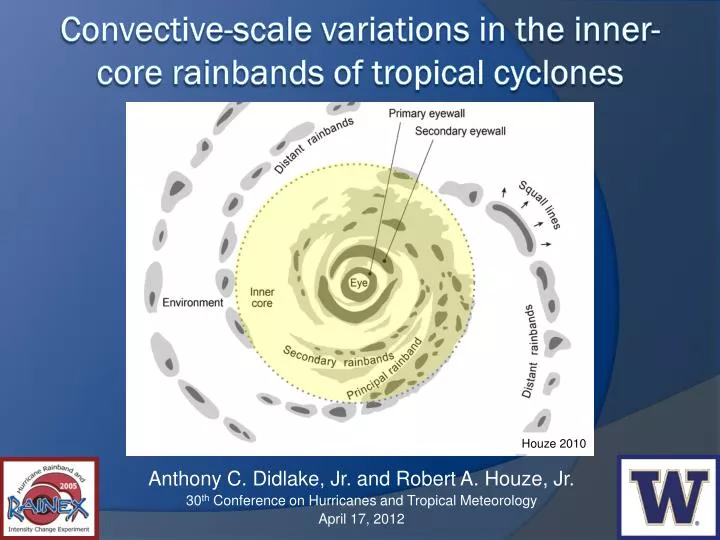 convective scale variations in the inner core rainbands of tropical cyclones