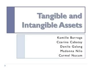 Tangible and Intangible Assets