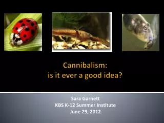 Cannibalism: is it ever a good idea?
