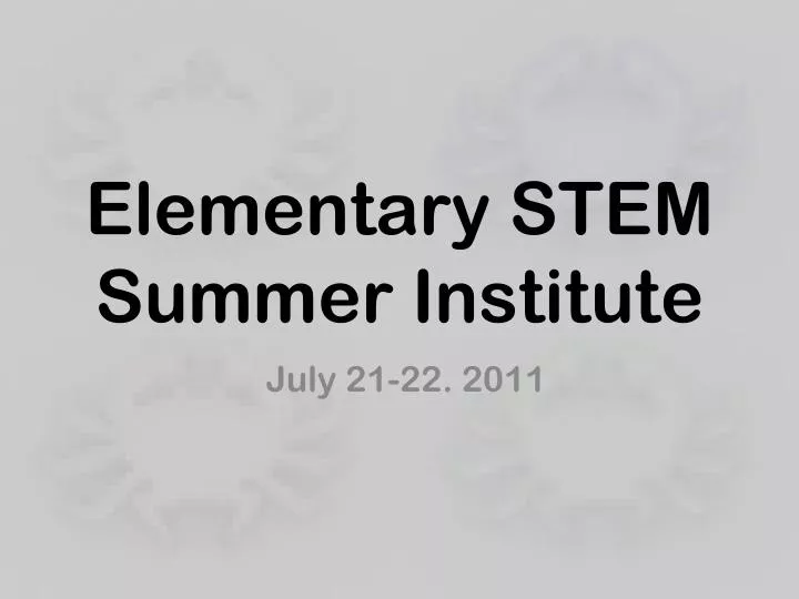 elementary stem summer institute