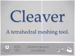 Cleaver A tetrahedral meshing tool.