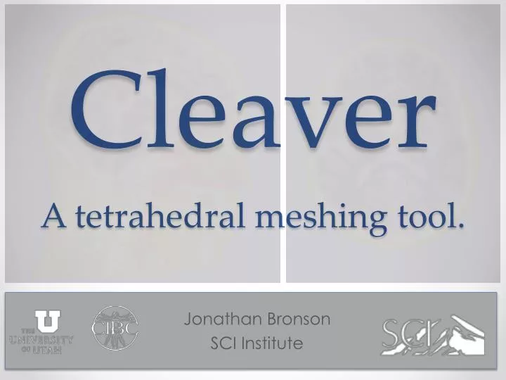 cleaver a tetrahedral meshing tool