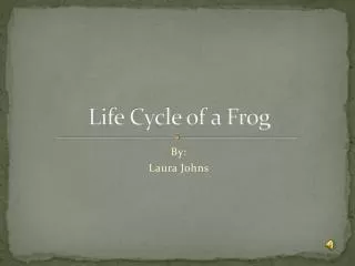 Life Cycle of a Frog