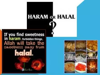 Halal &amp; Haram
