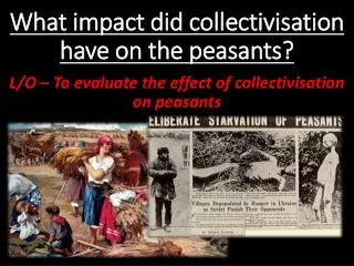 What impact did collectivisation have on the peasants?