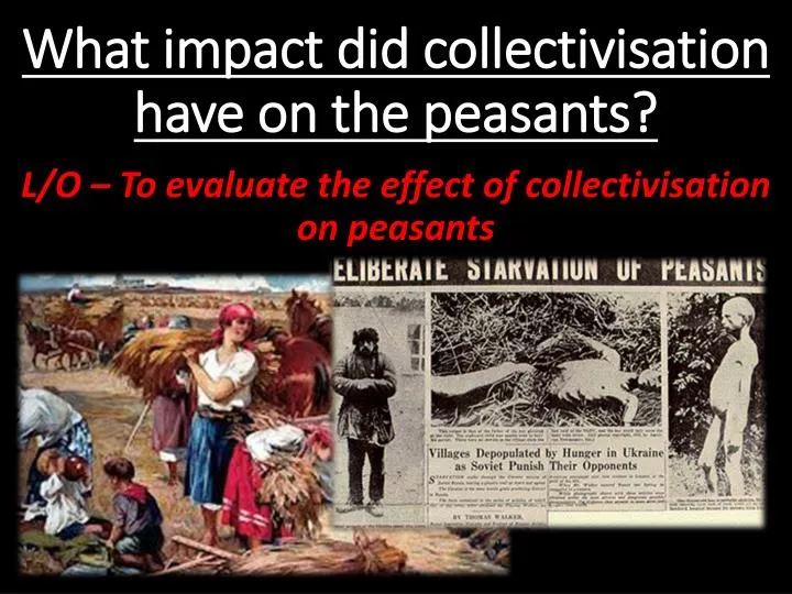what impact did collectivisation have on the peasants