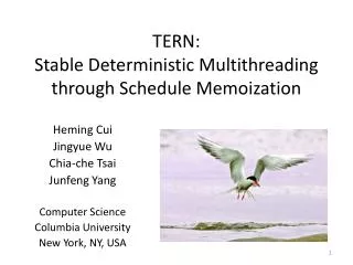 TERN: Stable Deterministic Multithreading through Schedule Memoization