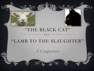 the black cat lamb to the slaughter
