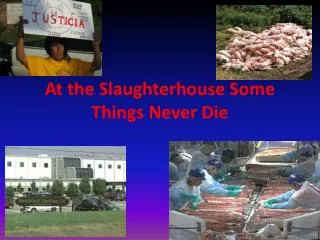 At the Slaughterhouse Some Things Never Die