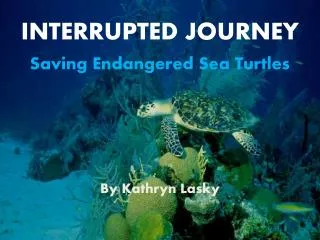 INTERRUPTED JOURNEY Saving Endangered Sea Turtles