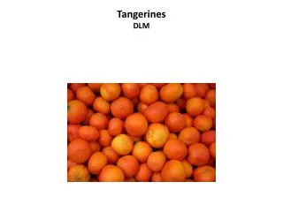 Tangerines DLM
