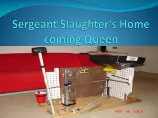 Sergeant Slaughter's Home coming Queen
