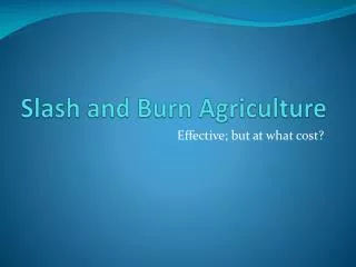 Slash and Burn Agriculture