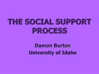 THE SOCIAL SUPPORT PROCESS