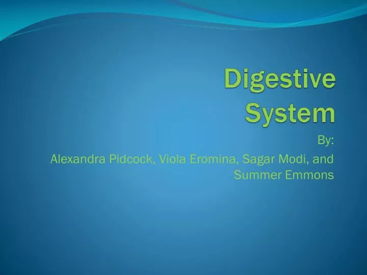 digestive system