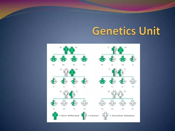 genetics unit