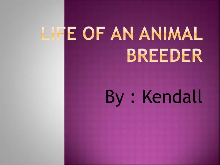 life of an animal breeder