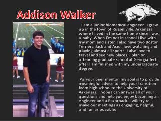 Addison Walker