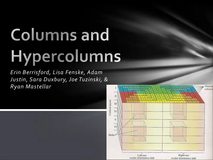 columns and hypercolumns