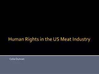 Human Rights in the US Meat Industry