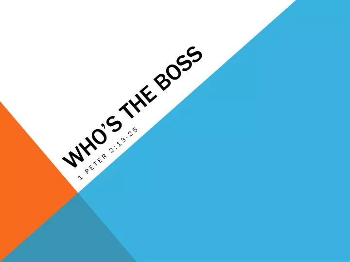 who s the boss