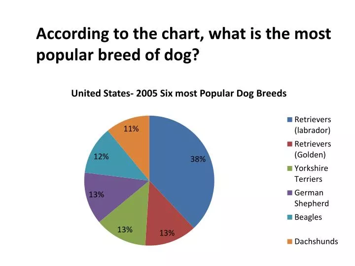 PPT According to the chart, what is the most popular breed of dog