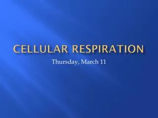 cellular respiration