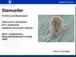 Stamceller - slide 1