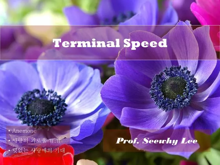 terminal speed