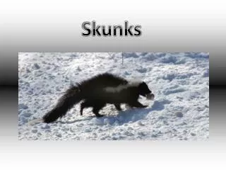 S kunks