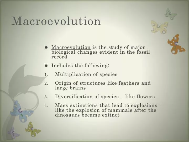 macroevolution