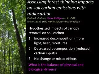 Hypothesized impacts of canopy removal on soil carbon