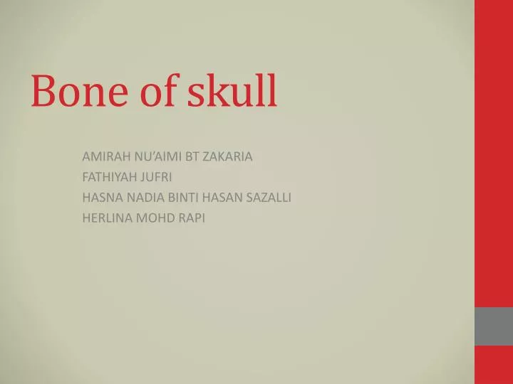 bone of skull