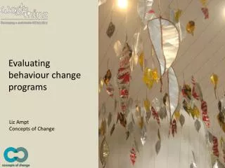 Evaluating behaviour change programs
