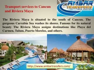 Transport services to Cancun and Riviera Maya
