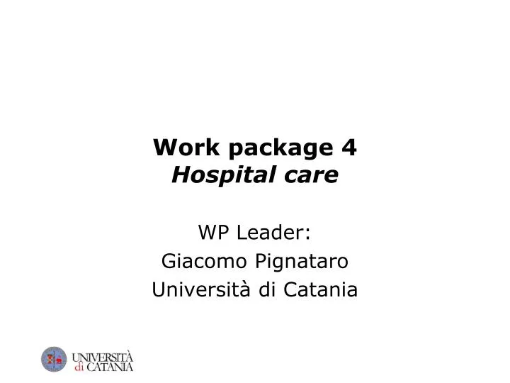 work package 4 hospital care