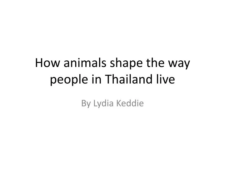 how animals shape the way people in t hailand live