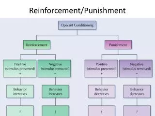 reinforcement punishment