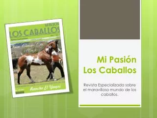 mi pasi n los caballos