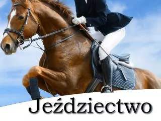 Jeździectwo