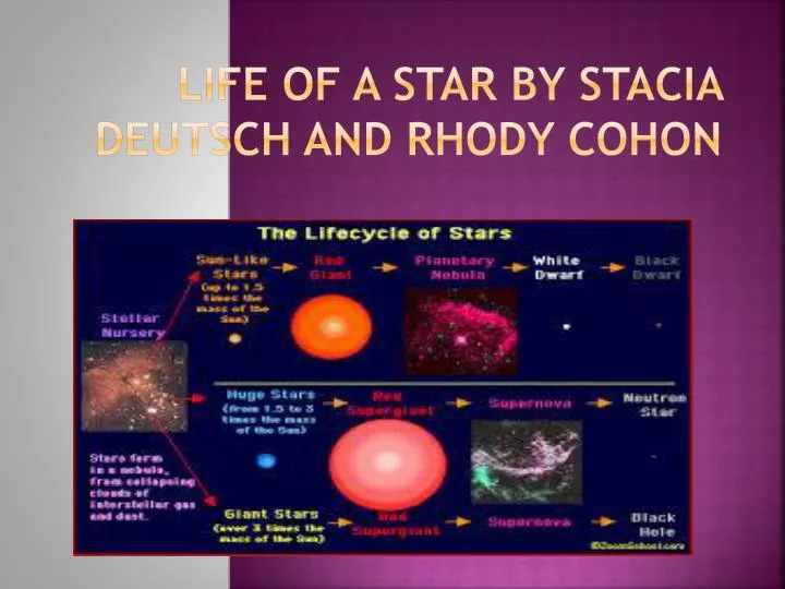 life of a star by stacia deutsch and rhody cohon