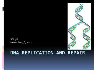 DNA Replication and repair