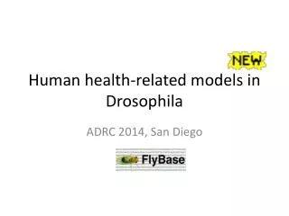 Human health -related models in Drosophila