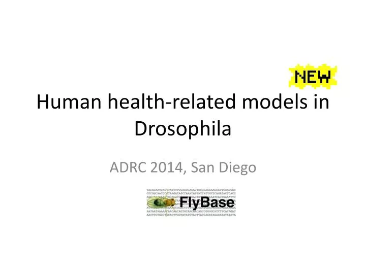 human health related models in drosophila