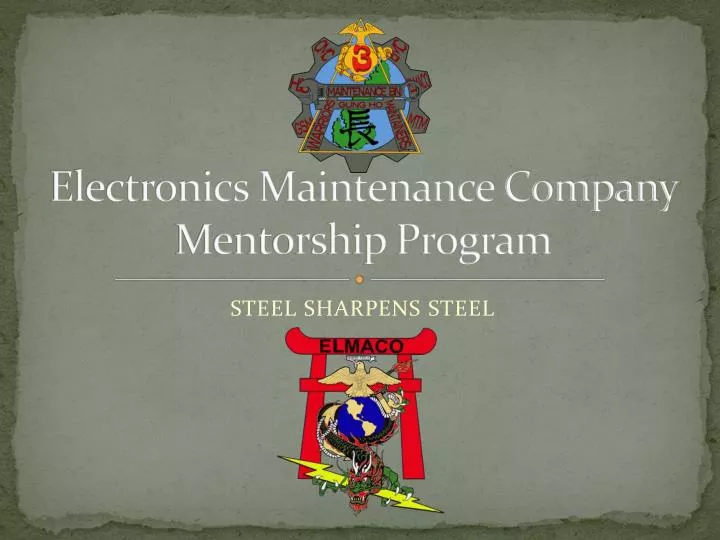 electronics maintenance company mentorship program