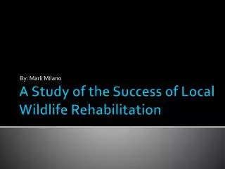 A Study of the Success of Local Wildlife Rehabilitation